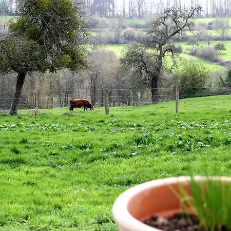 Les Ecuries De Callenville By Interhome Feriehus